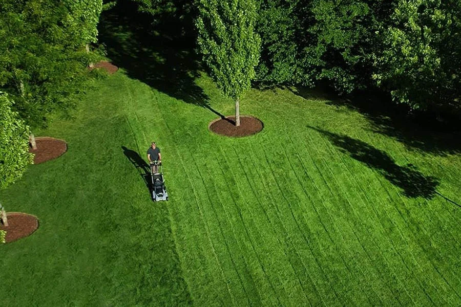 best electric lawn mower